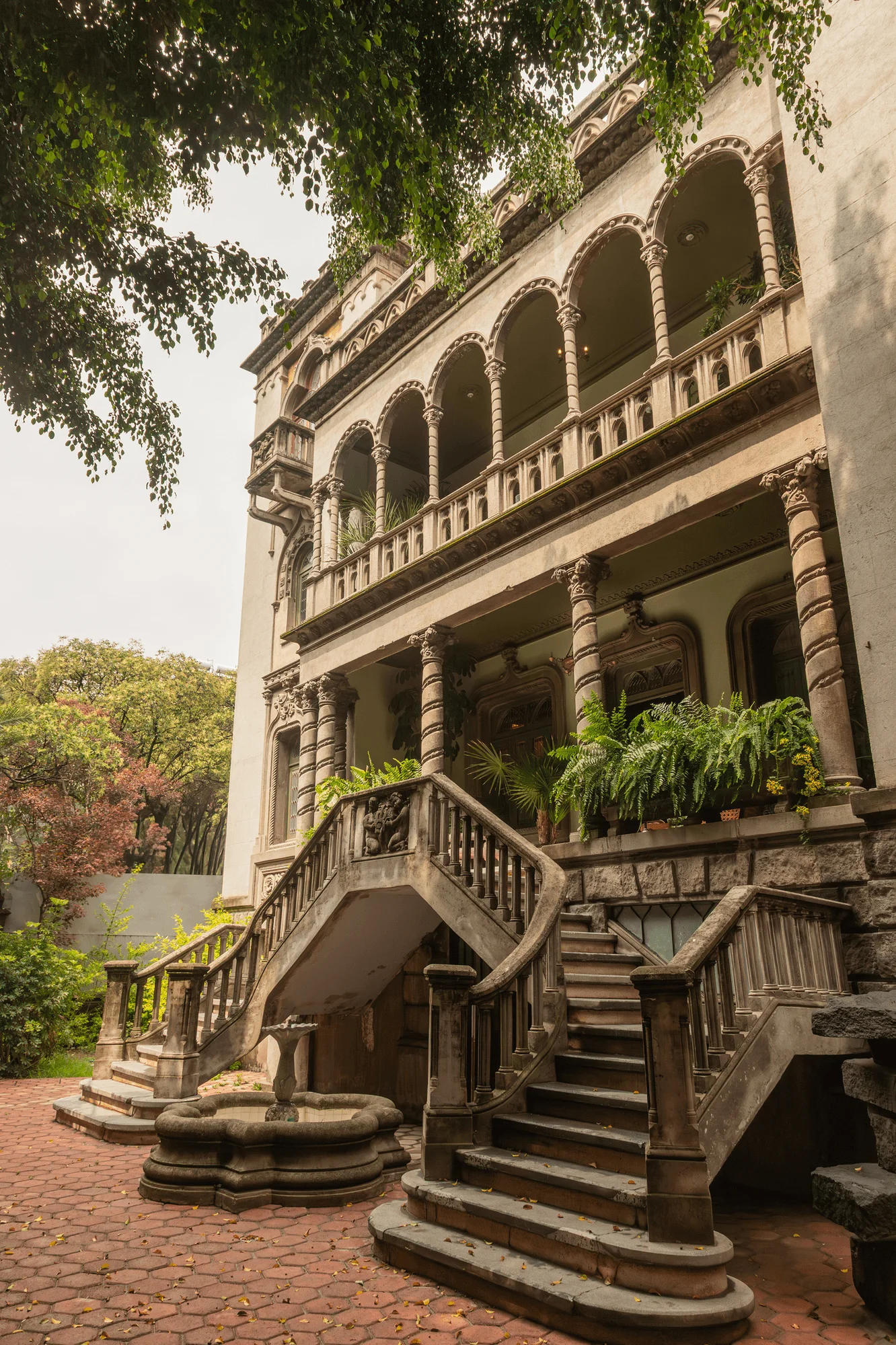 Maison Lézard — Amsterdam 155, Condesa